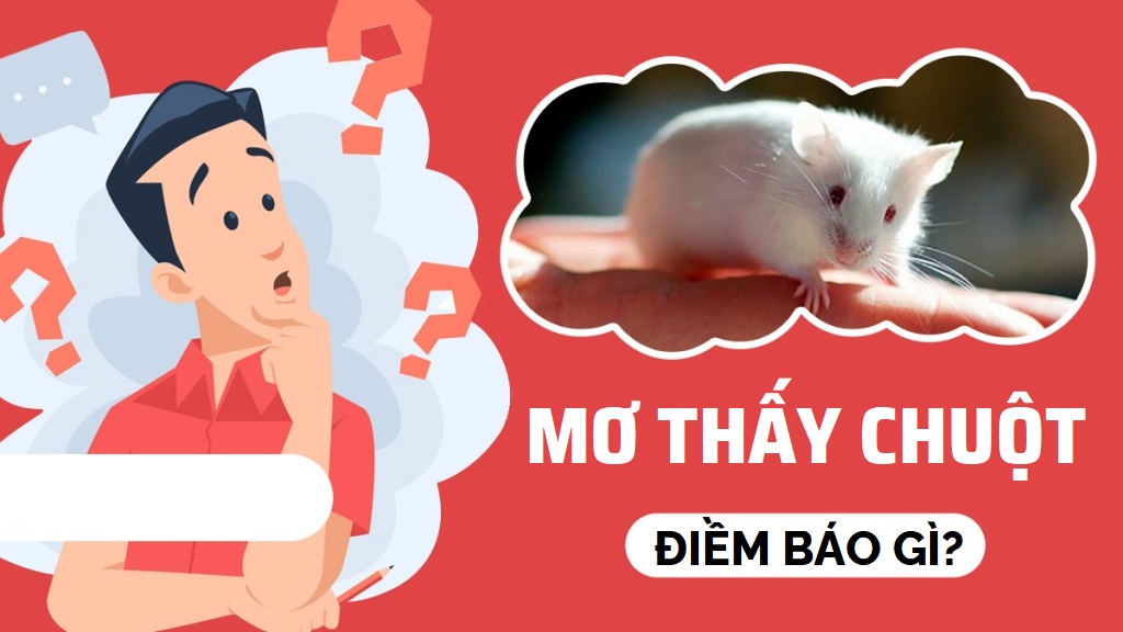 Nằm mơ thấy chuột là điềm gì? Những con số may mắn nên thử