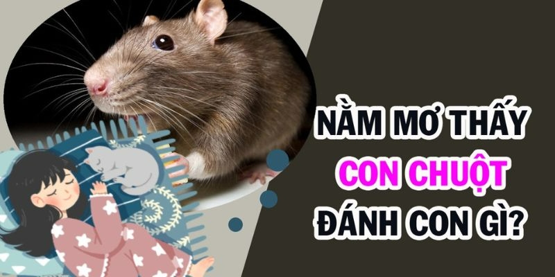 Nằm mơ thấy chuột là điềm gì? Những con số may mắn nên thử